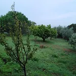 Aliki Petrochori (Peloponnese)