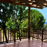 Aliki