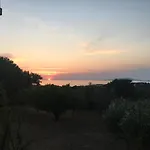 Aliki * Petrochori (Peloponnese)
