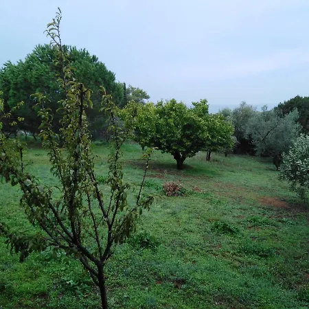 Aliki Petrochori (Peloponnese)