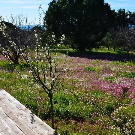Aliki * Petrochori (Peloponnese)