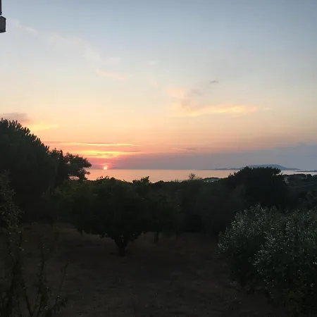 Aliki * Petrochori (Peloponnese)