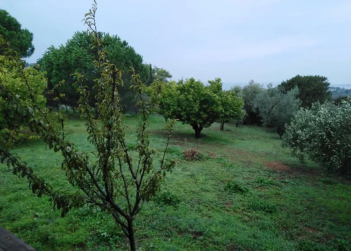 Aliki Petrochori (Peloponnese)