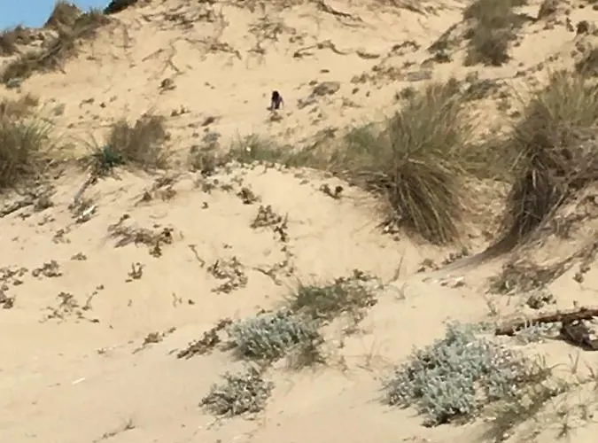 Nyaraló Aliki Petrohóri